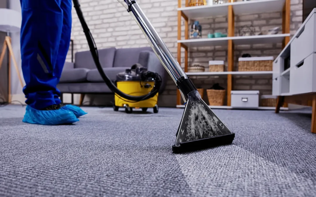 Carpet Cleaning